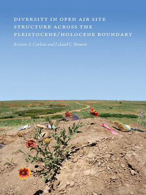 cover image of Diversity in Open-Air Site Structure across the Pleistocene/Holocene Boundary